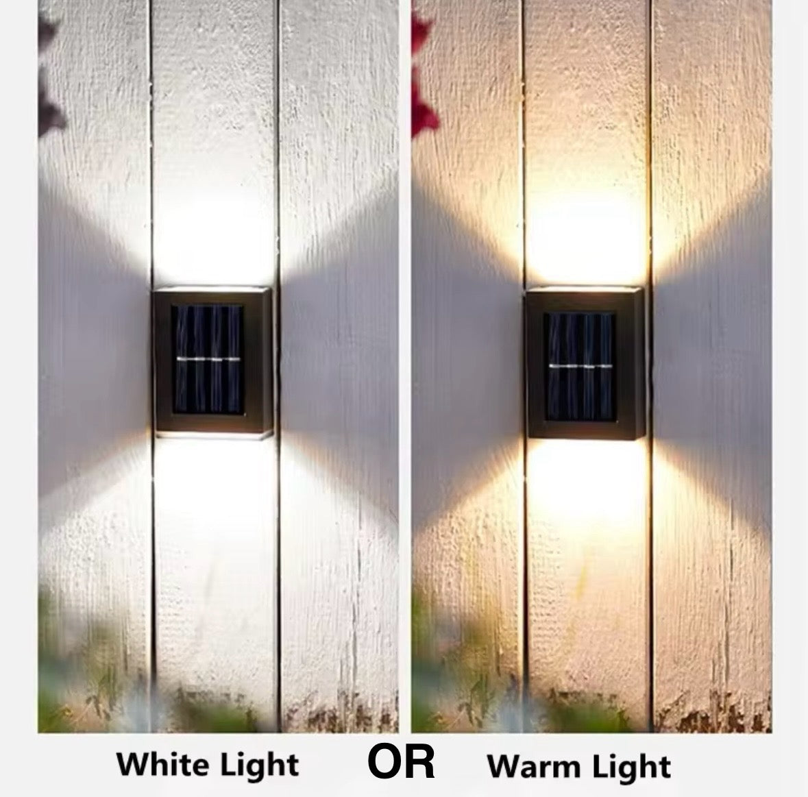 Outdoor Ambient Solar LED Lights (PAIR)