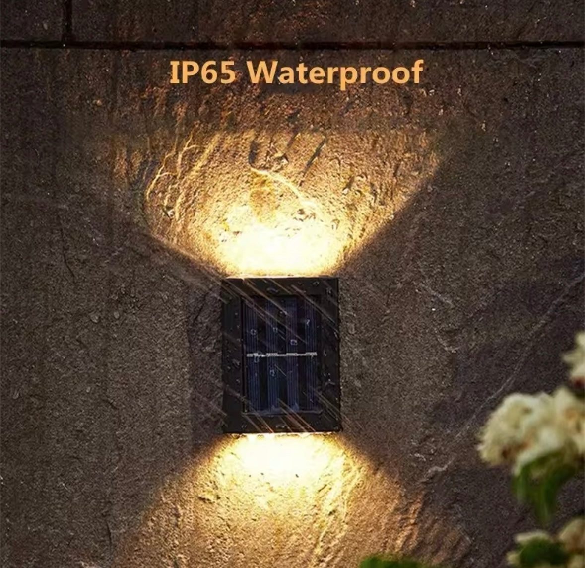 Outdoor Ambient Solar LED Lights (PAIR)