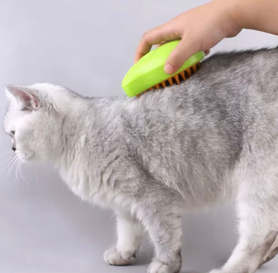 PET HAIR BRUSH WITH MIST SPRAYER